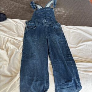 We The Free Ziggy denim overalls